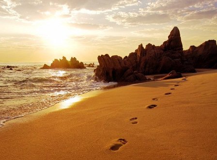 Jalan Pulang ke Rumah Laut