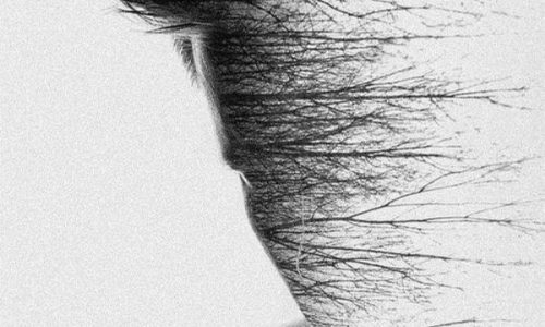 cerpen bidadari keroko puken