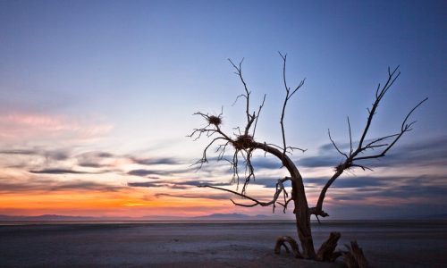 ilustrasi cerpen Solilokui Pulau Kecil - Badrul Munir Chair