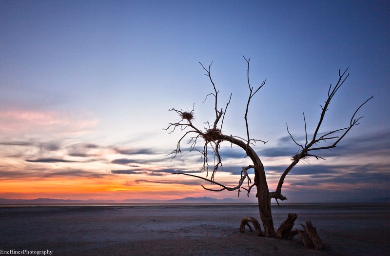 ilustrasi cerpen Solilokui Pulau Kecil - Badrul Munir Chair