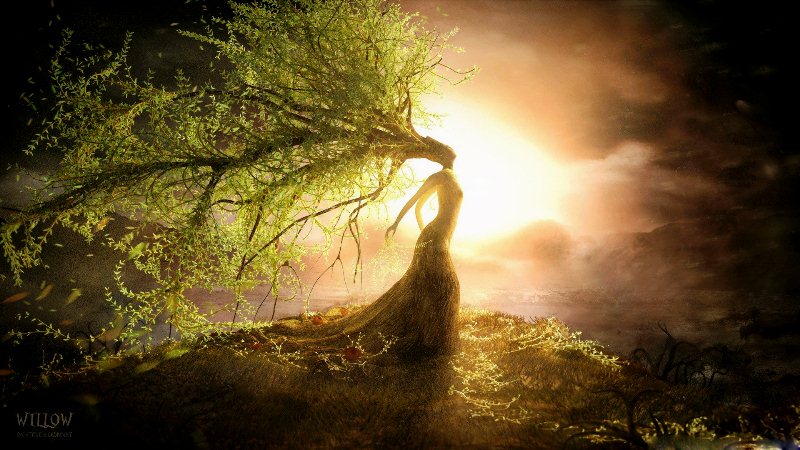 Ilustrasi puisi di senggigi matahari berakhir