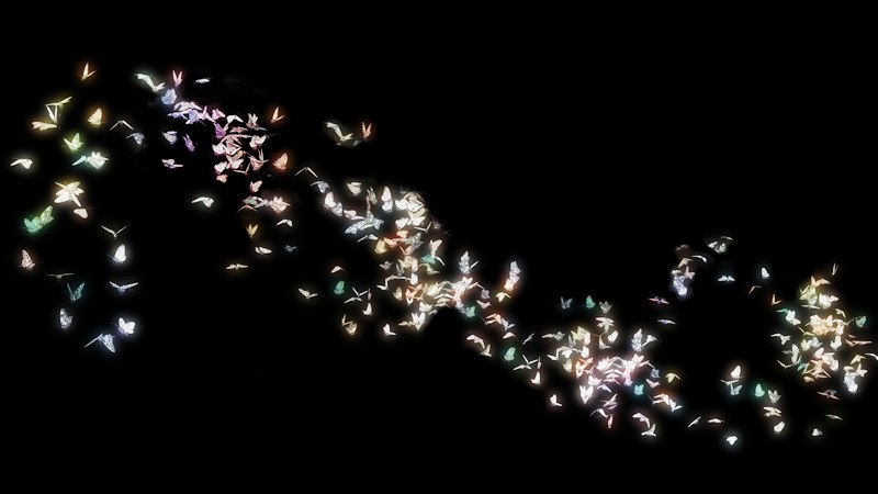 kupu-kupu menyerbu angkasa